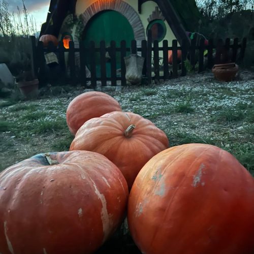 La_Contea_Gentile_Halloween (32)