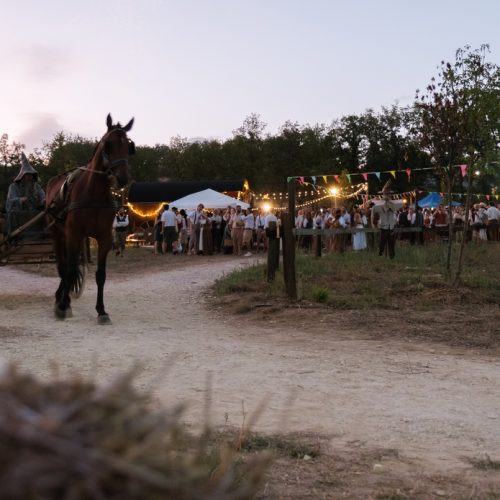 La_Contea_Gentile_Una_Festa_A_Lungo_Attesa_2025_Foto_Livio_DSCF1528